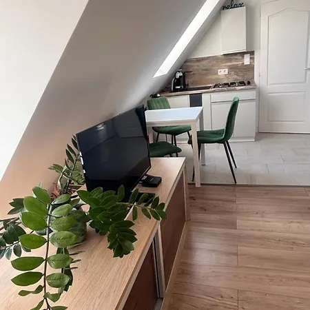 アパート Pecslux *